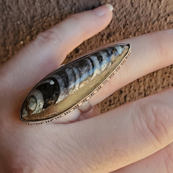 New Unique Orthoceras Fossil 925 Silver Statement Ring. - Picture 6 of 10